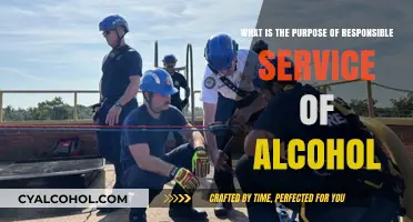 Alcohol Service: Safety, Responsibility, and Awareness