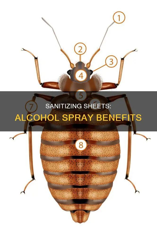 what is the purpose of spraying alcohol on bed sheets