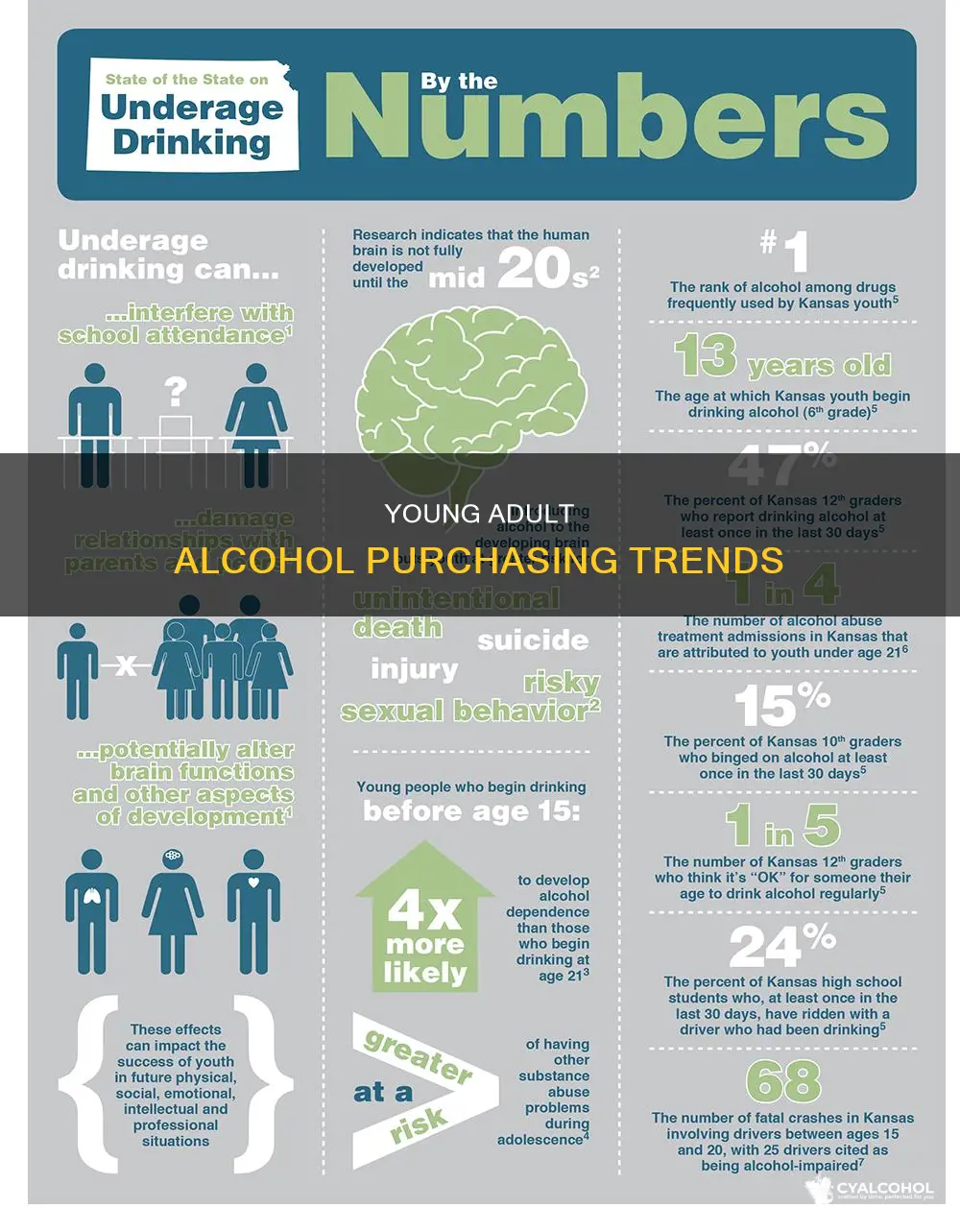 what is the rate of 21 years old purchasing alcohol