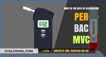 The Rising Alcoholism Rate: Impact on BAC and MVC