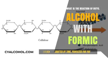 The Reaction of Butyl Alcohol and Formic Acid Explained