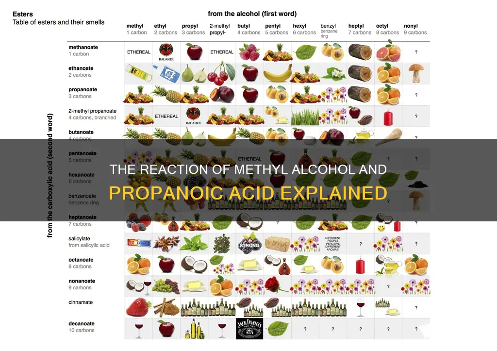 what is the reaction of methyl alcohol and propanoic acid