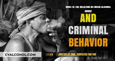 Alcohol Abuse: Gateway to Criminal Behavior