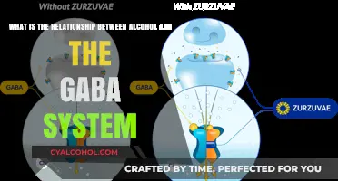 Alcohol, GABA, and Their Complex Relationship
