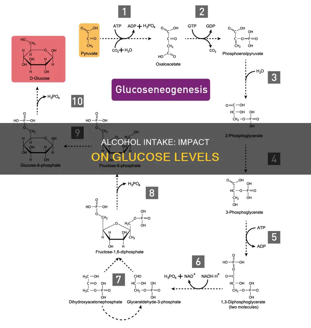 what is the relationship between alcohol intake and glucose