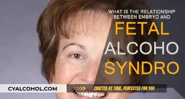 Embryo Alcohol Exposure: The Link to Fetal Alcohol Syndrome