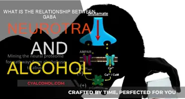 GABA and Alcohol: A Complex Relationship