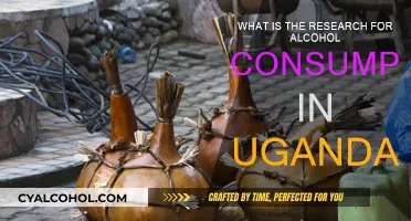 Alcohol Consumption in Uganda: Research Insights