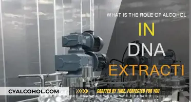 Alcohol's Role in DNA Extraction