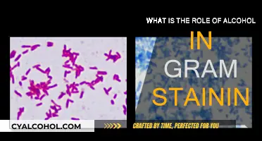 Alcohol's Role in Gram Staining: Fixing or Dehydrating?