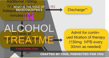 Benzodiazepines: Aiding Alcohol Detox and Treatment