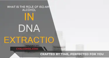 Iso-amy Alcohol's Role in DNA Extraction