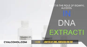 Isoamyl Alcohol's Role in DNA Extraction