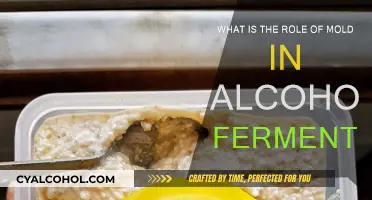 Mold's Role in Alcoholic Fermentation Explained