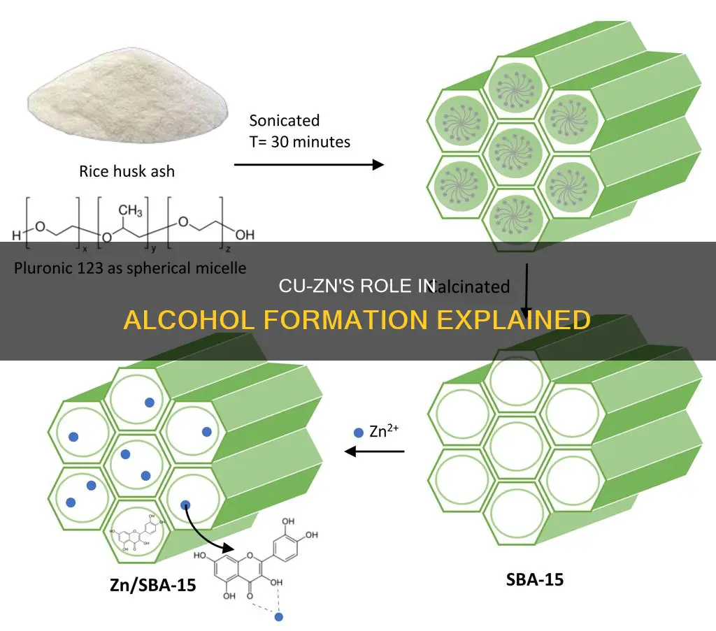 what is the roll of cu-zn in formation of alcohol