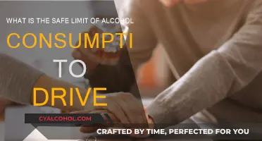 Safe Driving: Alcohol Limit Guidelines