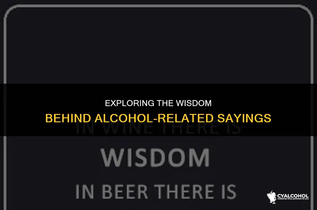 what is the saying about alcohol