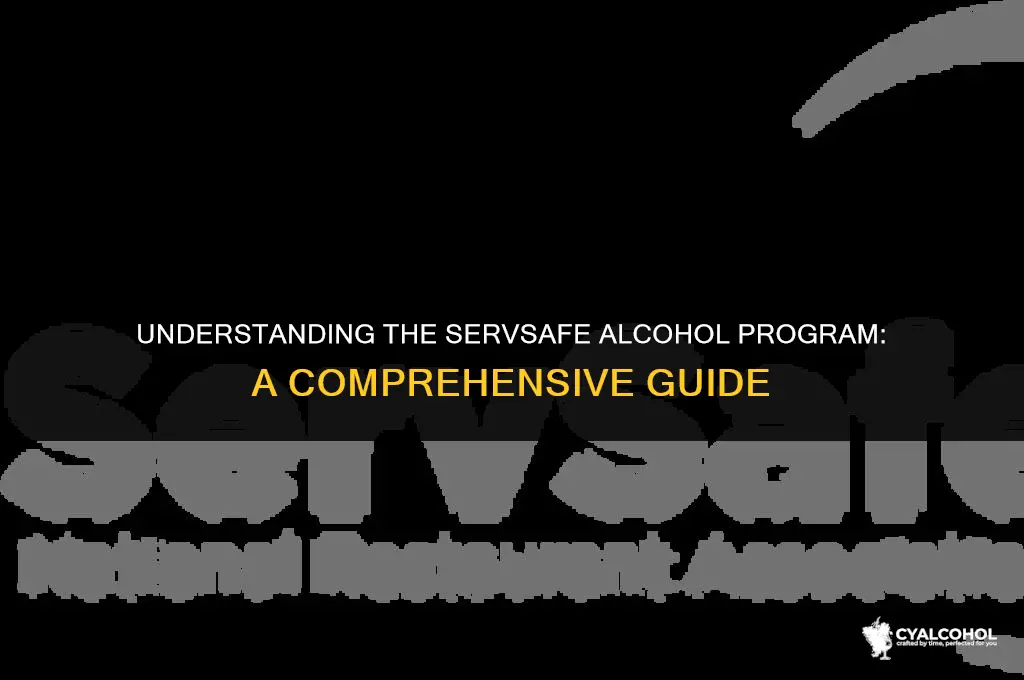 what is the servsafe alcohol program