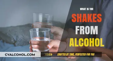 Understanding the Shakes: A Guide to Alcohol Withdrawal Symptoms