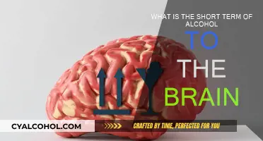 Alcohol's Immediate Brain Impact: Understanding the Short-Term Effects