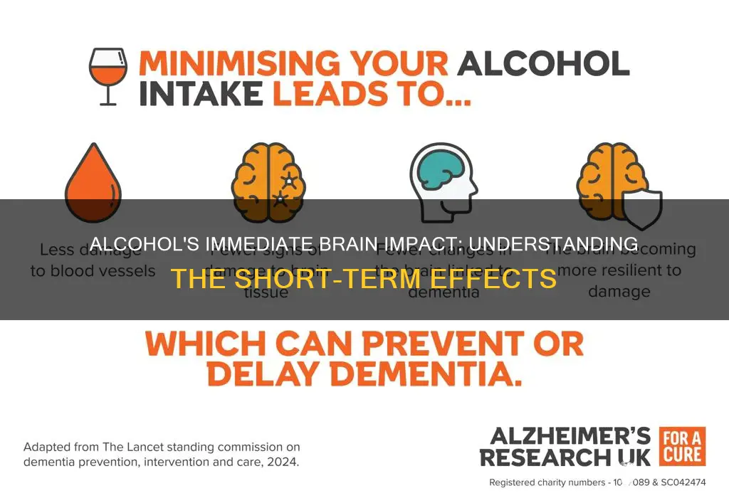 what is the short term of alcohol to the brain