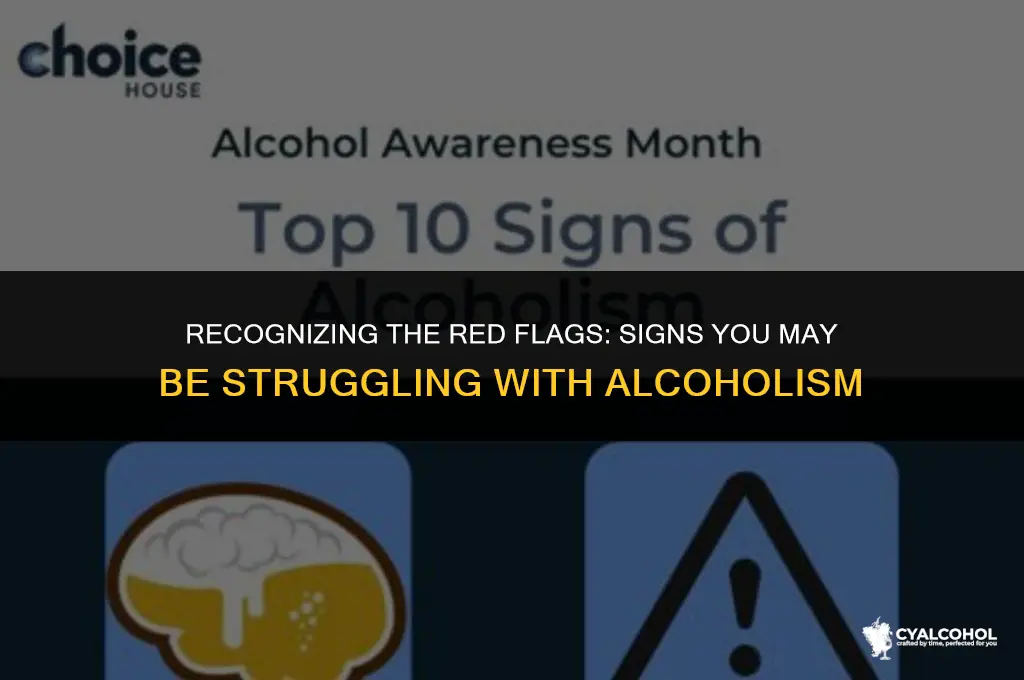 what is the sign of alcoholism