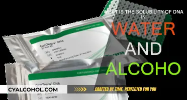 DNA Solubility: Water vs Alcohol