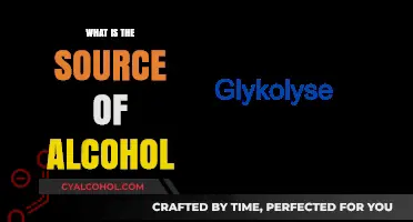 Unveiling the Origins: A Deep Dive into Alcohol's Source