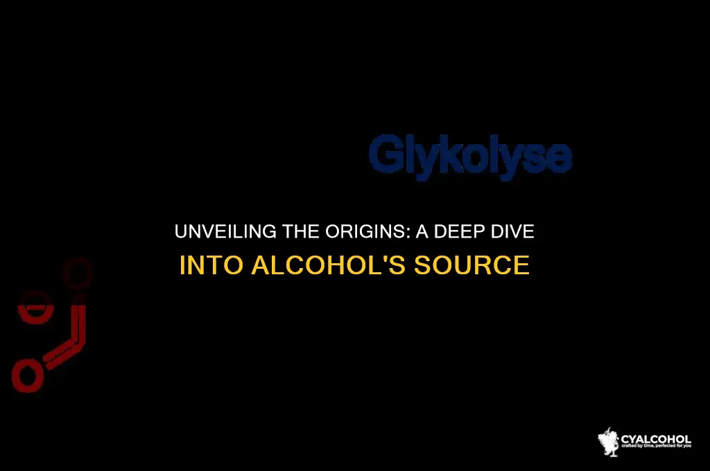 what is the source of alcohol