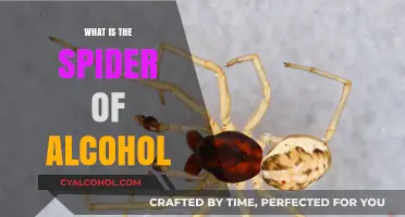 Unveiling the Web of Alcohol: Understanding Its Complex Effects