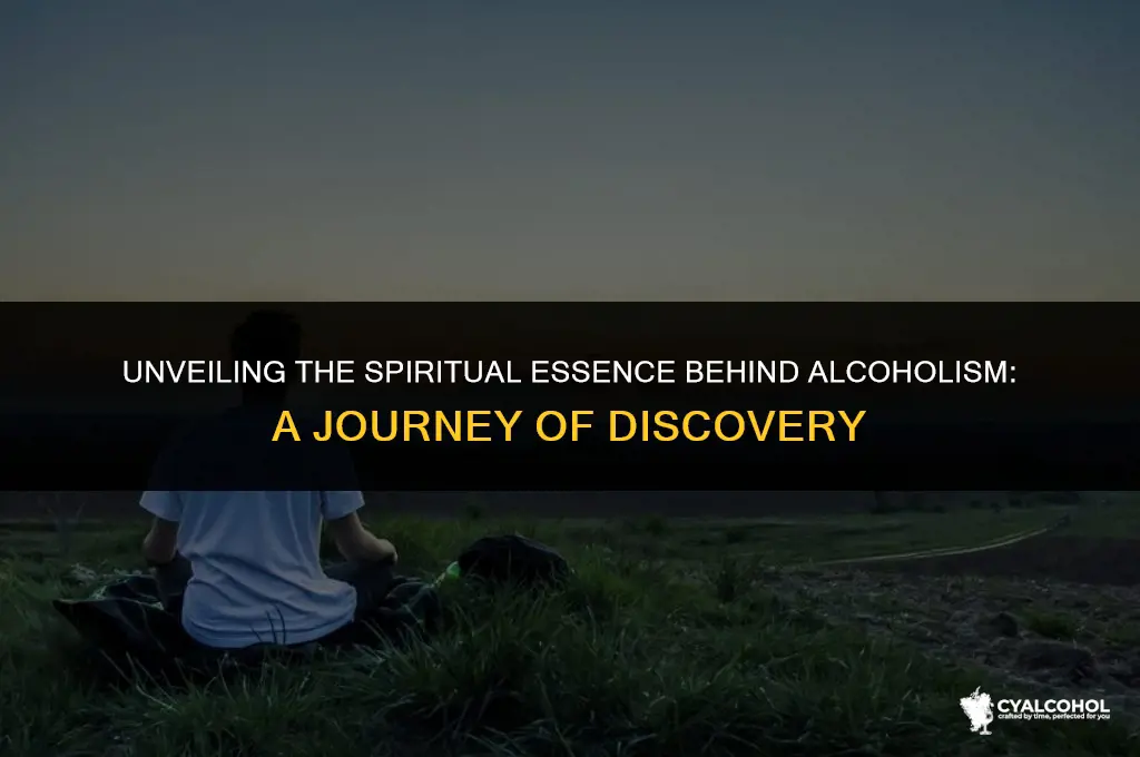 what is the spirit behind alcoholism