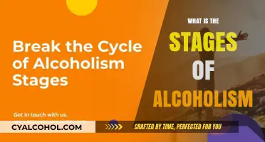 Understanding the Progression: Stages of Alcoholism Explained