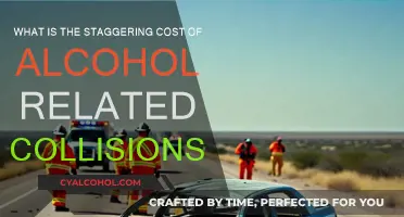 The Devastating Cost of Alcohol-Related Collisions