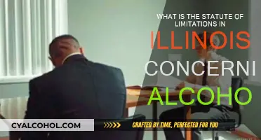 Illinois Alcohol Statute of Limitations Explained