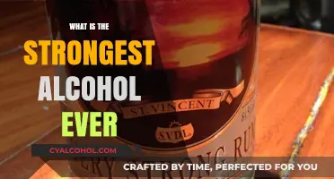 Exploring the Limits: The World's Strongest Alcohol Revealed