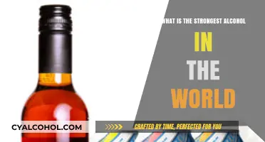 Exploring the World's Most Potent Alcoholic Beverages: What's the Strongest?