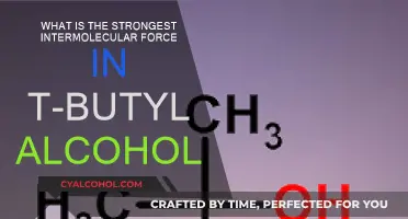 T-Butyl Alcohol's Strongest Intermolecular Force: Hydrogen Bonding Power