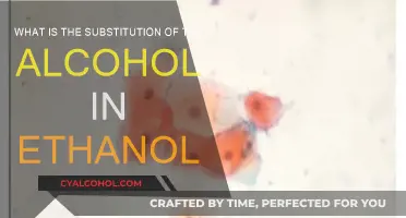 Explore Ethanol Alternatives: Substitute Alcohol for a Change