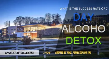 Alcohol Detox: Success Rates for 7-Day Programs
