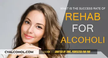 Alcoholics' Road to Recovery: Rehab Success Rates