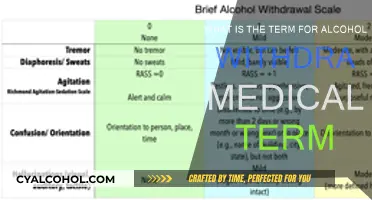 Alcohol Withdrawal: Understanding the Dangerous Detox Process