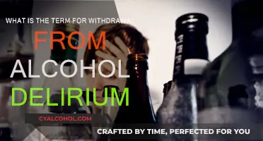 Alcohol Withdrawal Delirium: Understanding the Term and Its Dangers