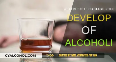 The Third Stage: Alcoholism's Physical Dependence