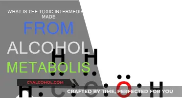 Alcohol's Toxic Metabolism: Understanding the Intermediate Risk