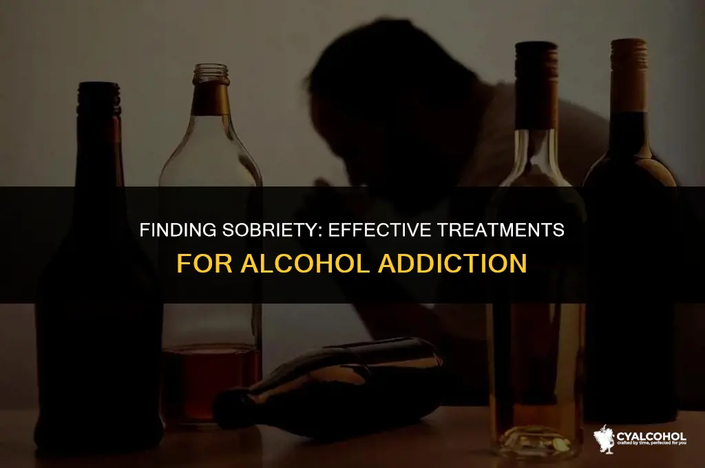 what is the treatment for alcoholics