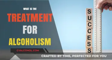Effective Treatment Options for Alcoholism: Recovery and Support Strategies
