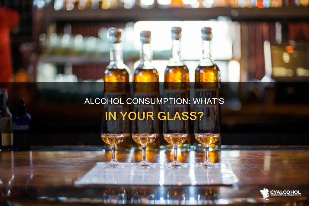 what is the type of alcohol normally consumed by humans