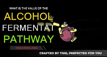 Alcohol Fermentation Pathway: Unlocking the Value of Ethanol Production