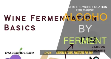 Fermentation's Magic: How Alcohol is Made