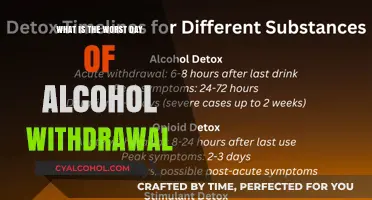 The Darkest Day: Navigating the Peak of Alcohol Withdrawal Symptoms